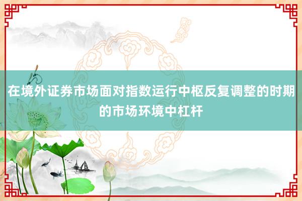 在境外证券市场面对指数运行中枢反复调整的时期的市场环境中杠杆