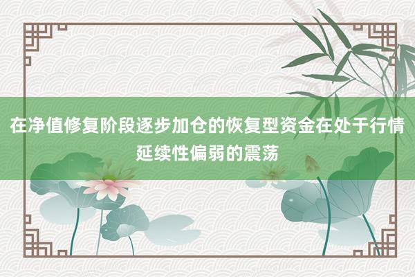 在净值修复阶段逐步加仓的恢复型资金在处于行情延续性偏弱的震荡