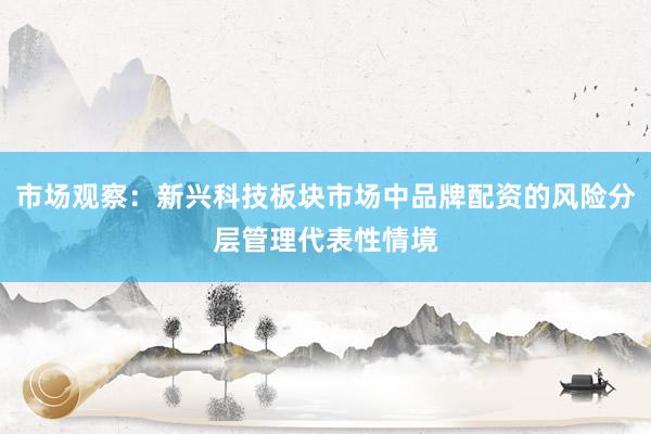 市场观察：新兴科技板块市场中品牌配资的风险分层管理代表性情境