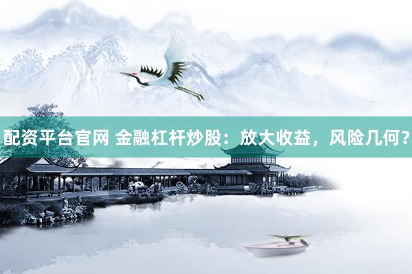 配资平台官网 金融杠杆炒股：放大收益，风险几何？