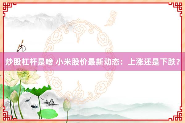 炒股杠杆是啥 小米股价最新动态：上涨还是下跌？