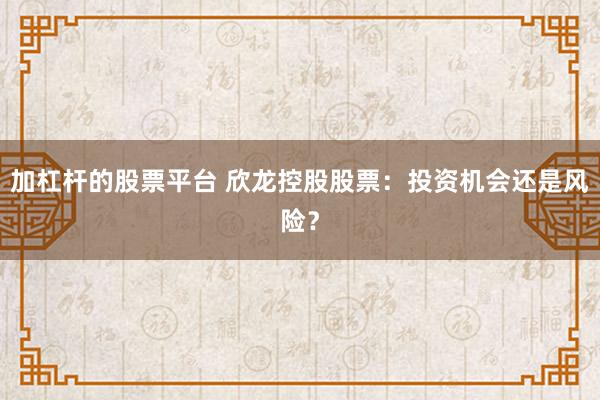 加杠杆的股票平台 欣龙控股股票：投资机会还是风险？