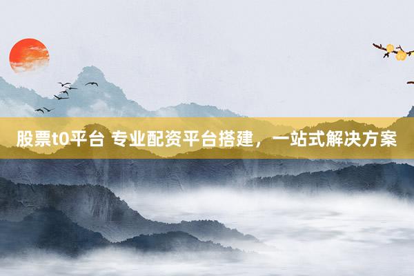 股票t0平台 专业配资平台搭建，一站式解决方案